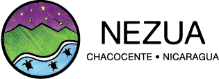 Nezua Logo